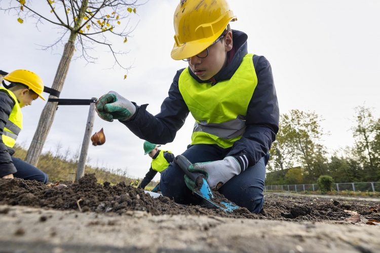 Leerlingen Almeerse basisscholen planten tulpenbollen op eigen Floriade-kavel